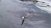 24102012653.jpg