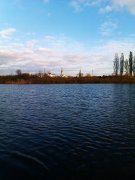 IMAG0738.jpg