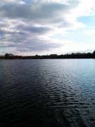 IMAG0739.jpg