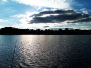 IMAG0740.jpg