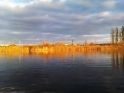IMAG0743.jpg