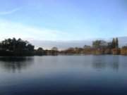DSC07679+.JPG
