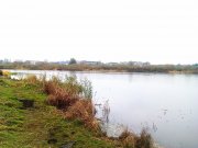 IMAG0755.jpg