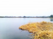 IMAG0756.jpg