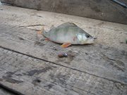 IMG_3049.JPG