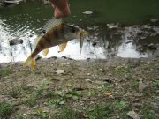 IMG_3055.JPG