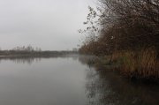 IMG_2099.JPG