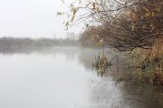 IMG_2100.JPG