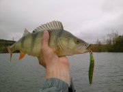 281020122941.jpg