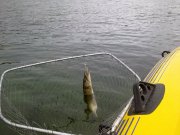 281020122942.jpg