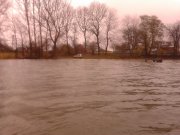 IMG_20121028_104225.jpg