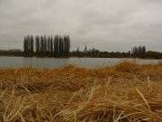 P1290840.JPG