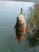 29102012251.jpg