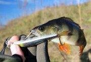IMG_2176.jpg