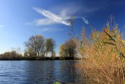 IMG_2184.jpg