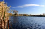IMG_2186.jpg