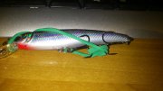 DSC_0117.jpg