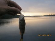 IMG_0428.JPG