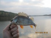 IMG_0430.JPG