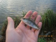 IMG_0431.JPG