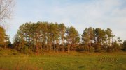 IMG_1934.JPG