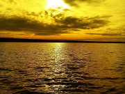 IMAG0767.jpg