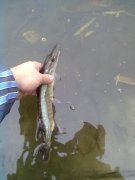 04112012086.jpg