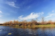 IMG_2276.jpg