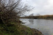 IMG_2342.jpg