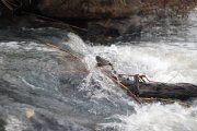 DSC_3651.JPG
