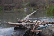 DSC_3652.JPG