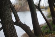 DSC_3708.JPG