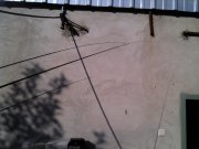 IMG_20121108_113024.jpg