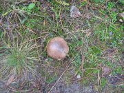 IMG_1090.JPG