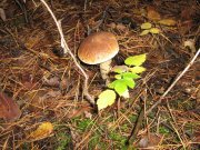 IMG_1099.JPG