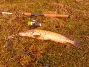 IMG_20121109_113315.jpg