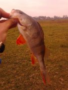 IMG_20121109_120624.jpg