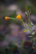 IMG_1047_resize.jpg