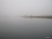1-IMG_0006.JPG