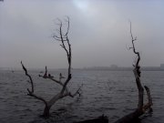 SDC16990.JPG