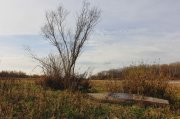 IMG_2431.JPG