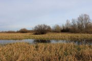 IMG_2434.JPG