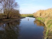 DSC00450.JPG