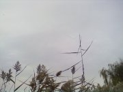 13112012130.jpg