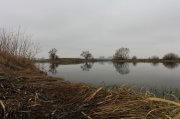 IMG_2483.JPG