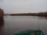 DSC04968.JPG