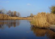 SDC17362.jpg