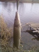 20112012145.jpg