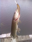 20112012149.jpg