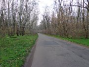 DSC00518.JPG